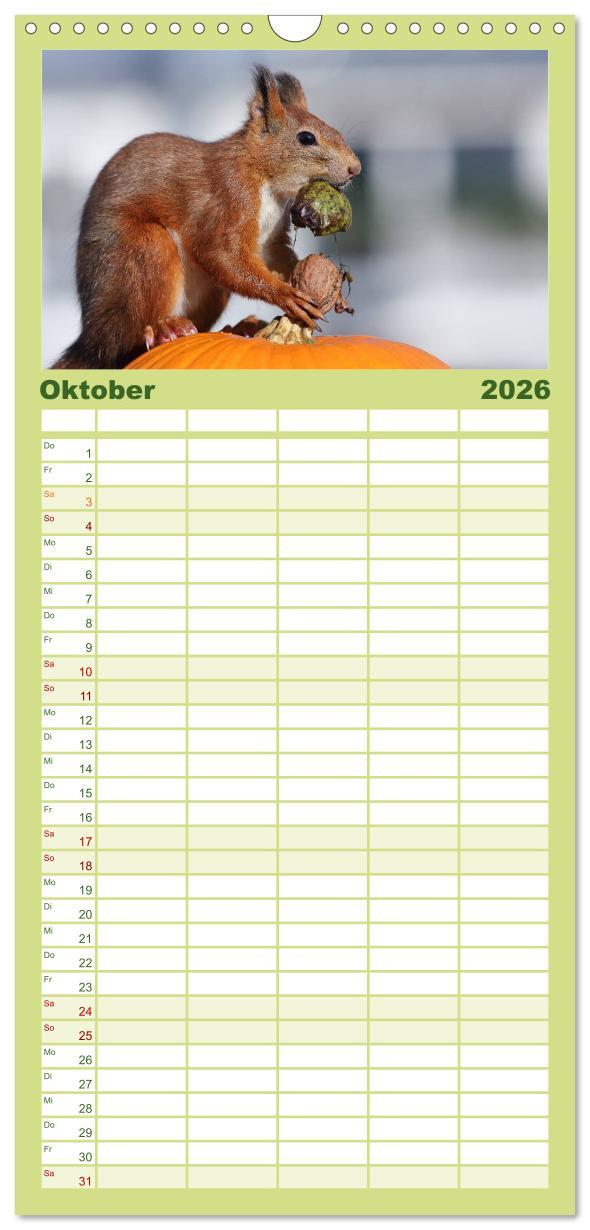 Beispielinhalt (Bild) Familienplaner 2026 - Eichhörnchen Momentaufnahmen fürs Herz mit 5 Spalten (Wandkalender, 21 x 45 cm) CALVENDO