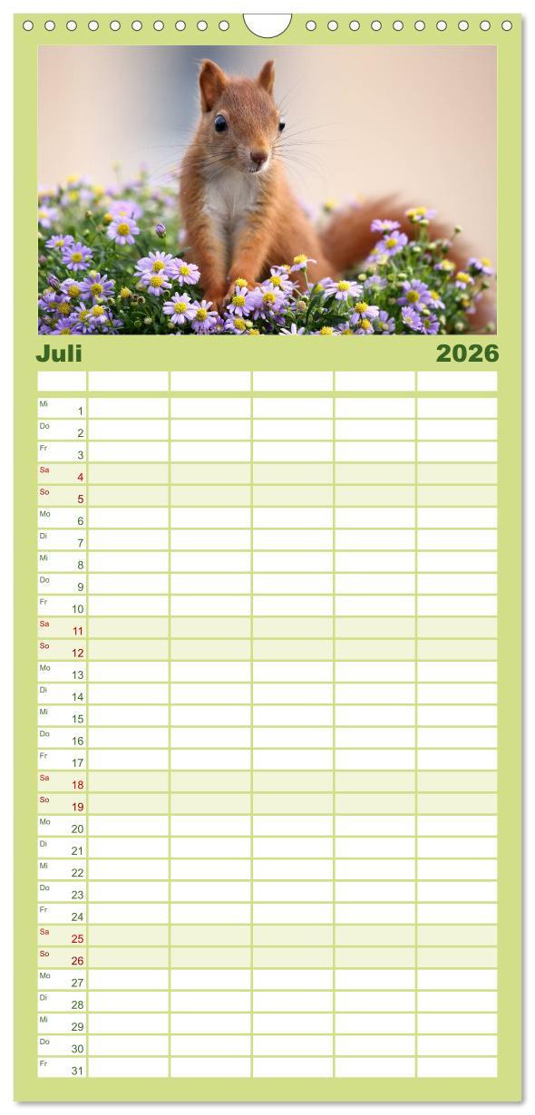 Beispielinhalt (Bild) Familienplaner 2026 - Eichhörnchen Momentaufnahmen fürs Herz mit 5 Spalten (Wandkalender, 21 x 45 cm) CALVENDO