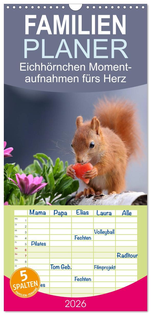 Vorderes Coverbild Familienplaner 2026 - Eichhörnchen Momentaufnahmen fürs Herz mit 5 Spalten (Wandkalender, 21 x 45 cm) CALVENDO