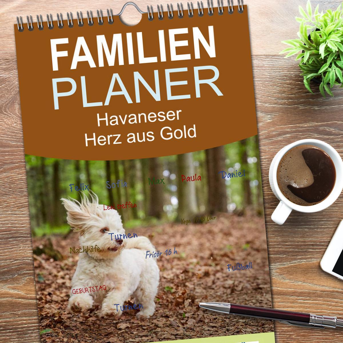 Beispielinhalt (Bild) Familienplaner 2026 - Havaneser - Herz aus Gold mit 5 Spalten (Wandkalender, 21 x 45 cm) CALVENDO