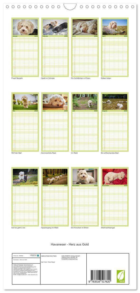 Beispielinhalt (Bild) Familienplaner 2026 - Havaneser - Herz aus Gold mit 5 Spalten (Wandkalender, 21 x 45 cm) CALVENDO