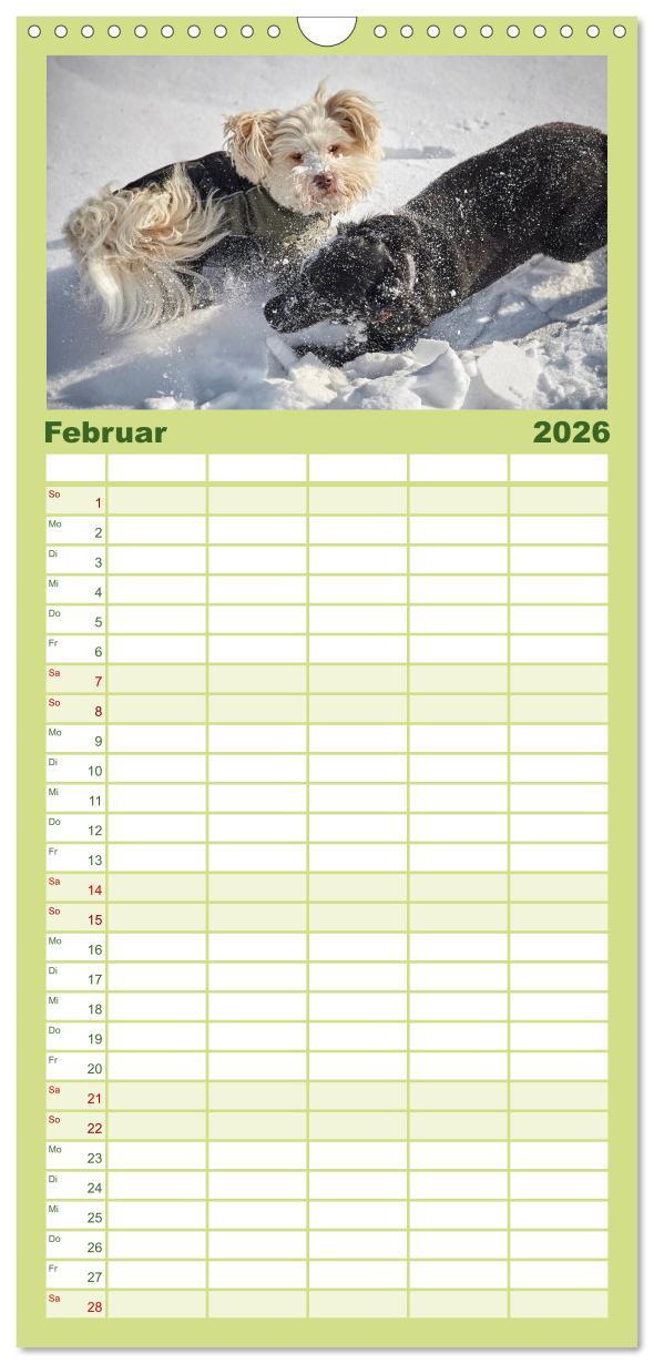 Beispielinhalt (Bild) Familienplaner 2026 - Havaneser - Herz aus Gold mit 5 Spalten (Wandkalender, 21 x 45 cm) CALVENDO