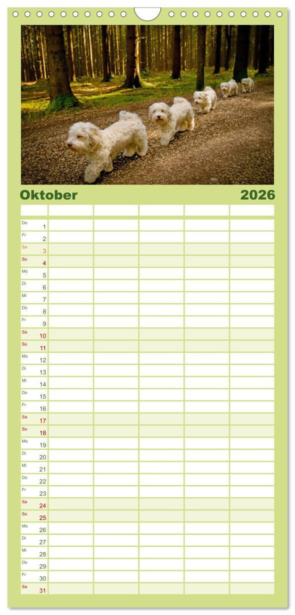 Beispielinhalt (Bild) Familienplaner 2026 - Havaneser - Herz aus Gold mit 5 Spalten (Wandkalender, 21 x 45 cm) CALVENDO