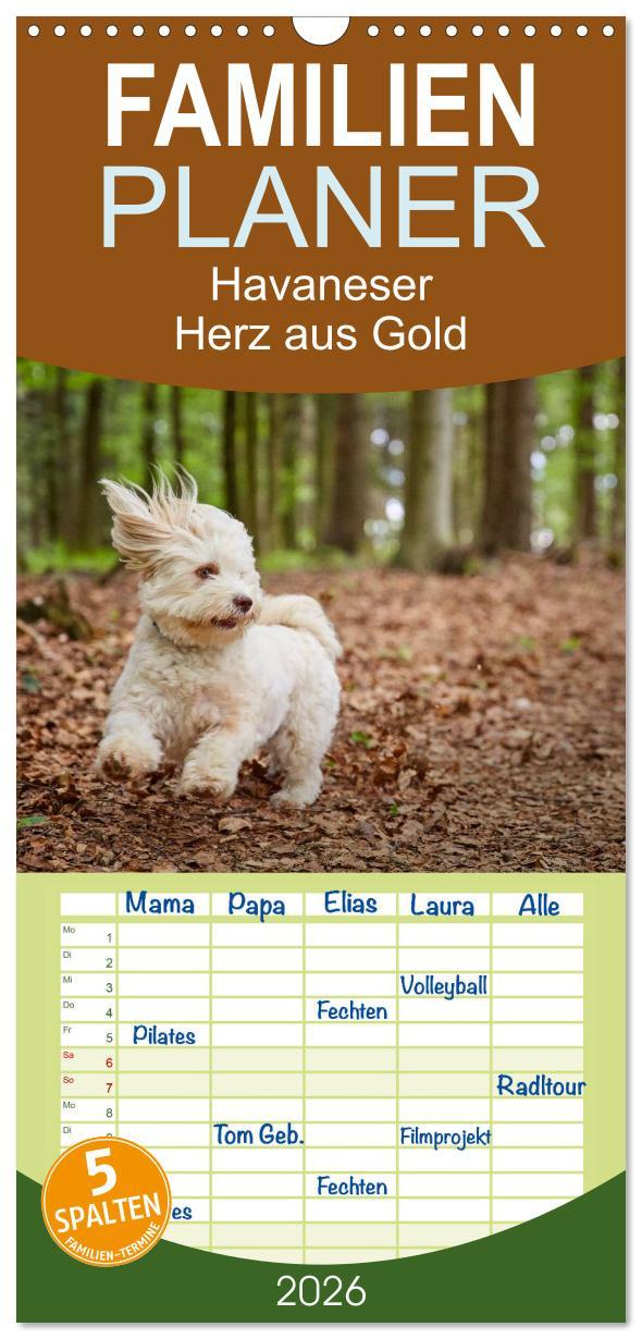 Vorderes Coverbild Familienplaner 2026 - Havaneser - Herz aus Gold mit 5 Spalten (Wandkalender, 21 x 45 cm) CALVENDO