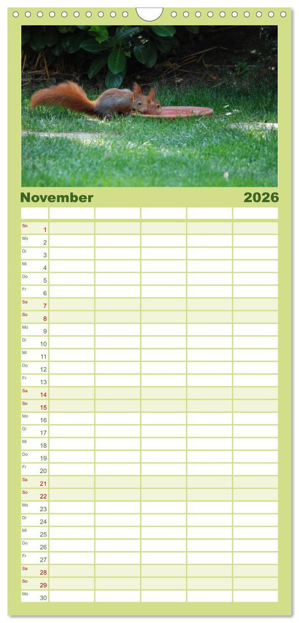 Beispielinhalt (Bild) Familienplaner 2026 - Spaß mit Eichhörnchen-Kindern mit 5 Spalten (Wandkalender, 21 x 45 cm) CALVENDO