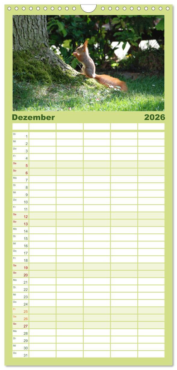 Beispielinhalt (Bild) Familienplaner 2026 - Spaß mit Eichhörnchen-Kindern mit 5 Spalten (Wandkalender, 21 x 45 cm) CALVENDO