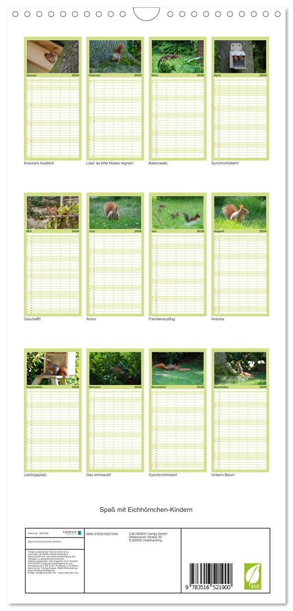 Beispielinhalt (Bild) Familienplaner 2026 - Spaß mit Eichhörnchen-Kindern mit 5 Spalten (Wandkalender, 21 x 45 cm) CALVENDO