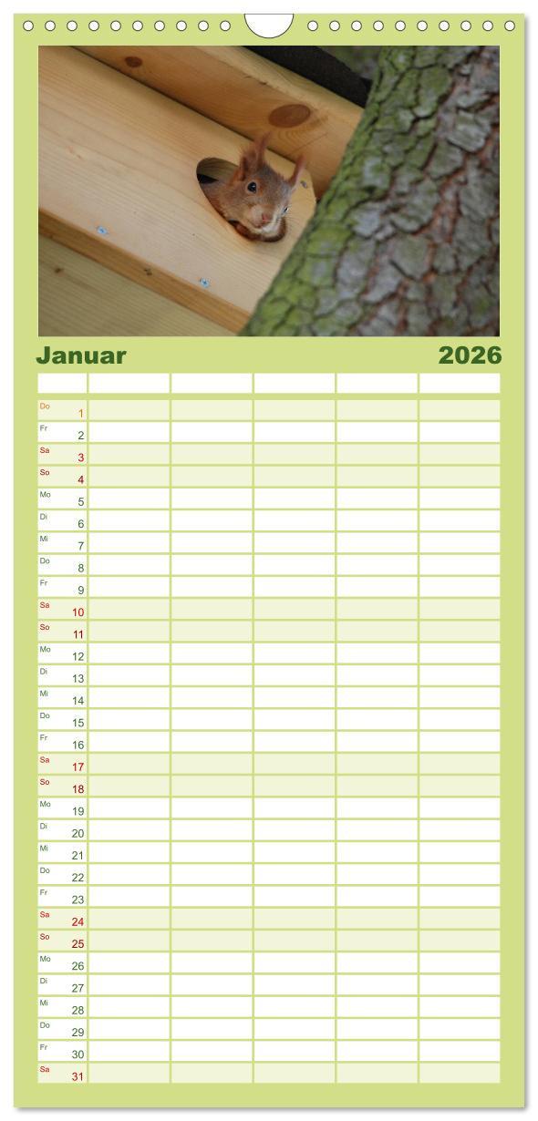 Beispielinhalt (Bild) Familienplaner 2026 - Spaß mit Eichhörnchen-Kindern mit 5 Spalten (Wandkalender, 21 x 45 cm) CALVENDO