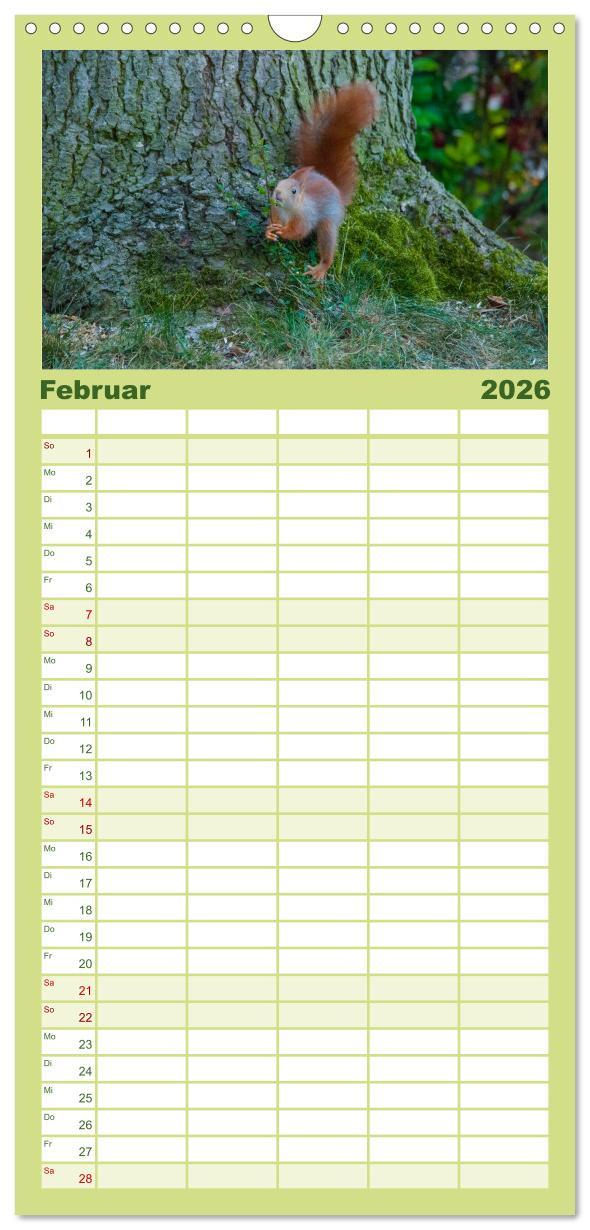 Beispielinhalt (Bild) Familienplaner 2026 - Spaß mit Eichhörnchen-Kindern mit 5 Spalten (Wandkalender, 21 x 45 cm) CALVENDO
