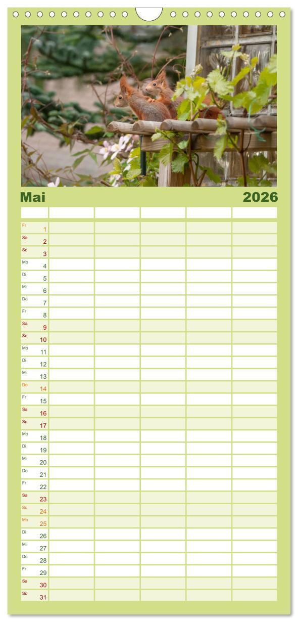 Beispielinhalt (Bild) Familienplaner 2026 - Spaß mit Eichhörnchen-Kindern mit 5 Spalten (Wandkalender, 21 x 45 cm) CALVENDO
