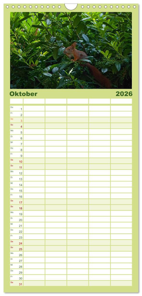 Beispielinhalt (Bild) Familienplaner 2026 - Spaß mit Eichhörnchen-Kindern mit 5 Spalten (Wandkalender, 21 x 45 cm) CALVENDO