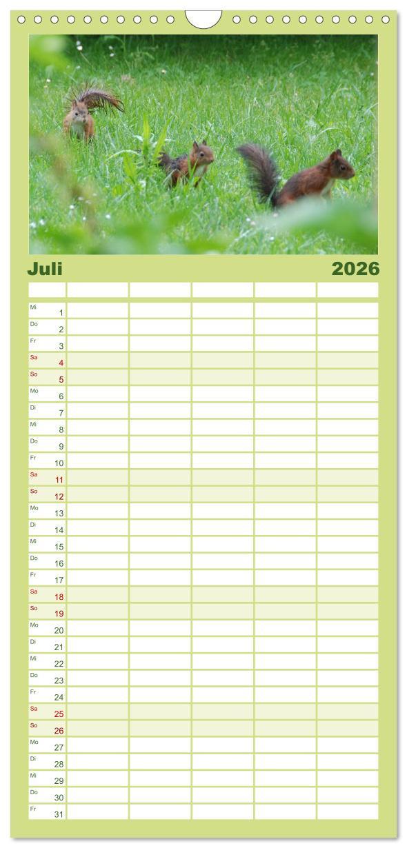 Beispielinhalt (Bild) Familienplaner 2026 - Spaß mit Eichhörnchen-Kindern mit 5 Spalten (Wandkalender, 21 x 45 cm) CALVENDO
