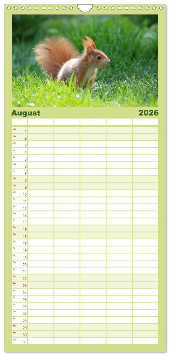 Beispielinhalt (Bild) Familienplaner 2026 - Spaß mit Eichhörnchen-Kindern mit 5 Spalten (Wandkalender, 21 x 45 cm) CALVENDO