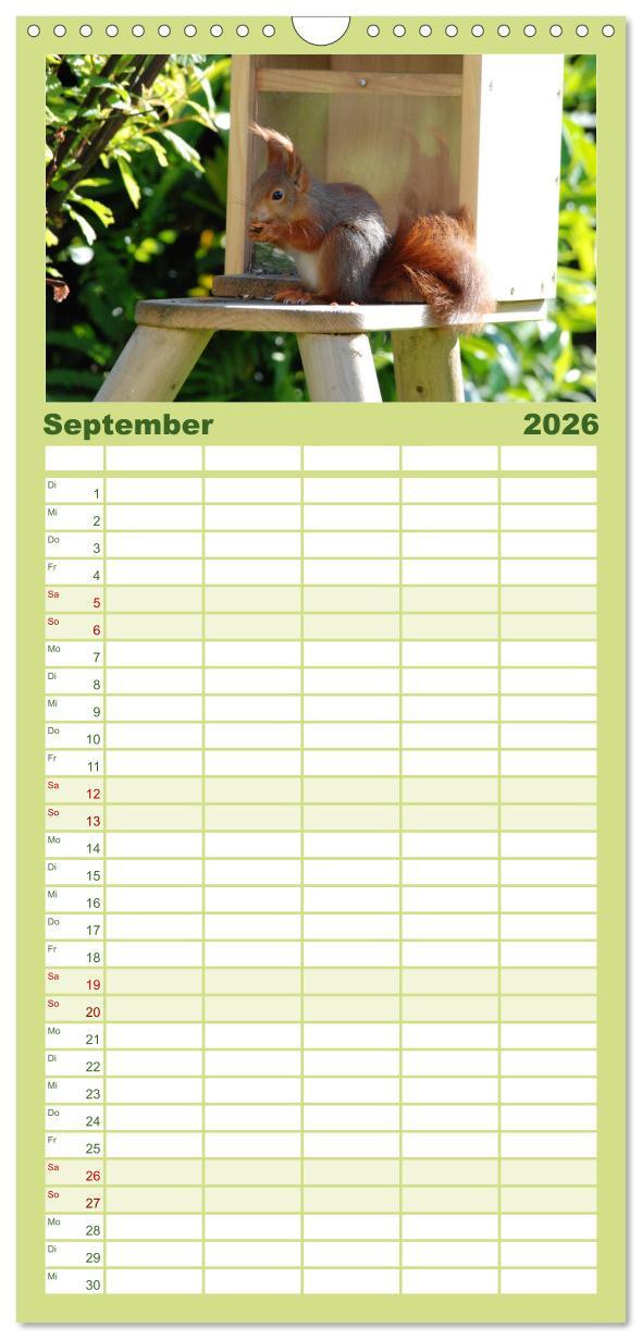 Beispielinhalt (Bild) Familienplaner 2026 - Spaß mit Eichhörnchen-Kindern mit 5 Spalten (Wandkalender, 21 x 45 cm) CALVENDO