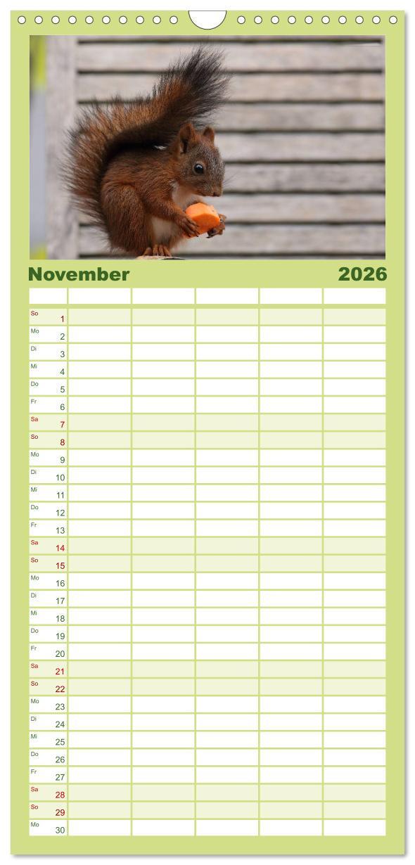 Beispielinhalt (Bild) Familienplaner 2026 - Eichhörnchen Kinder mit 5 Spalten (Wandkalender, 21 x 45 cm) CALVENDO
