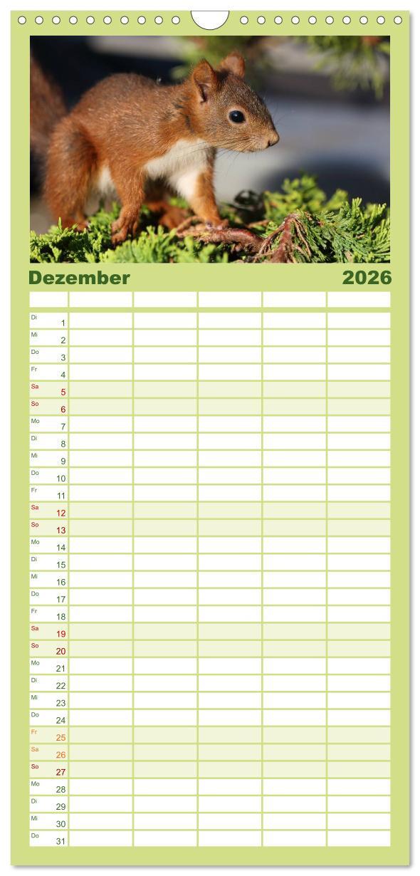 Beispielinhalt (Bild) Familienplaner 2026 - Eichhörnchen Kinder mit 5 Spalten (Wandkalender, 21 x 45 cm) CALVENDO