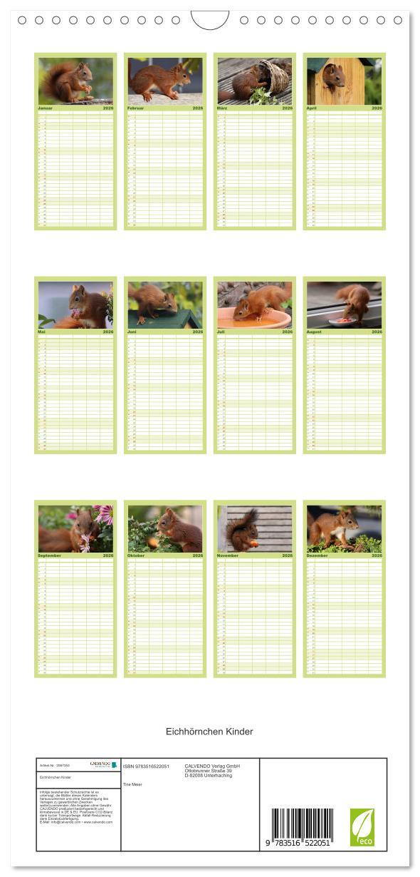 Beispielinhalt (Bild) Familienplaner 2026 - Eichhörnchen Kinder mit 5 Spalten (Wandkalender, 21 x 45 cm) CALVENDO