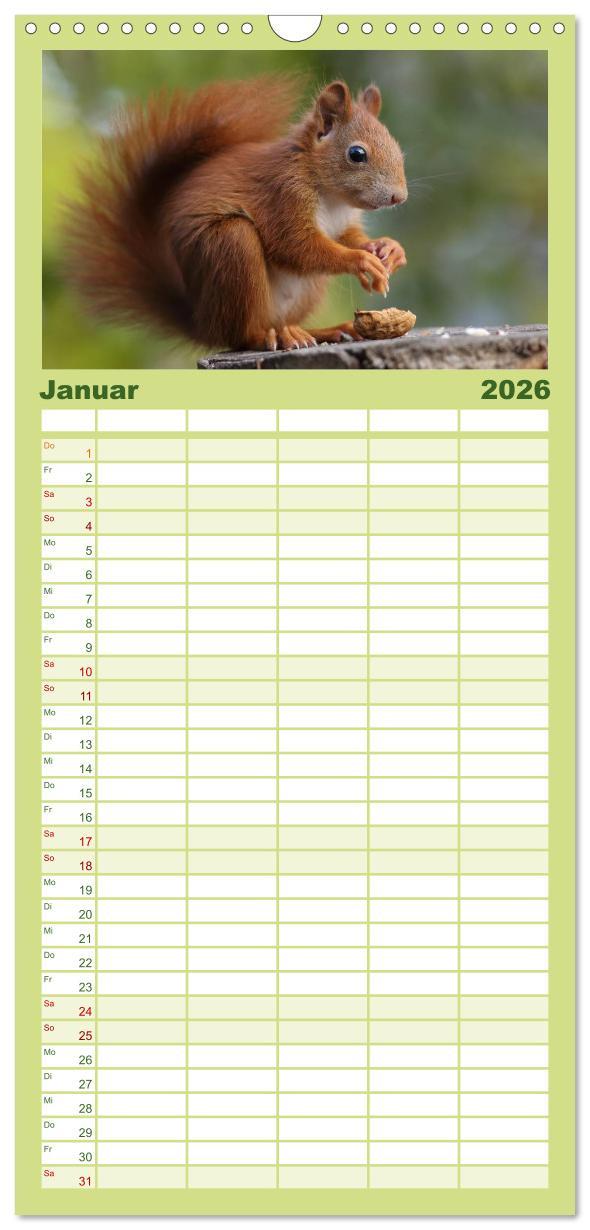 Beispielinhalt (Bild) Familienplaner 2026 - Eichhörnchen Kinder mit 5 Spalten (Wandkalender, 21 x 45 cm) CALVENDO