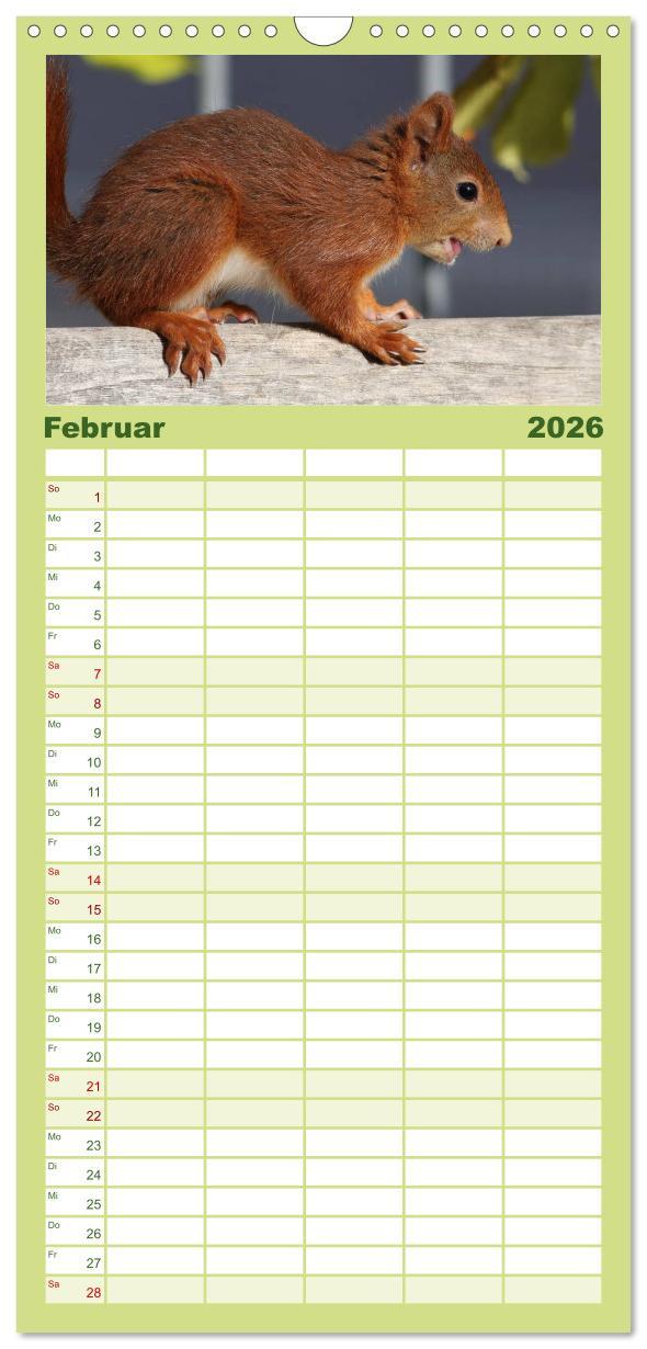 Beispielinhalt (Bild) Familienplaner 2026 - Eichhörnchen Kinder mit 5 Spalten (Wandkalender, 21 x 45 cm) CALVENDO