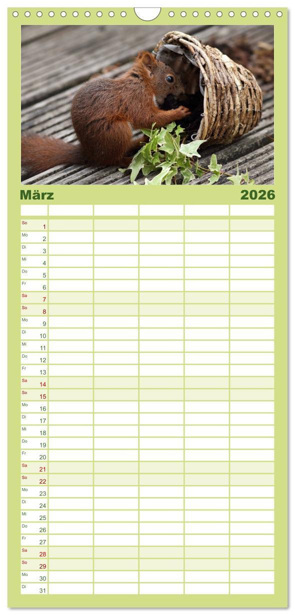 Beispielinhalt (Bild) Familienplaner 2026 - Eichhörnchen Kinder mit 5 Spalten (Wandkalender, 21 x 45 cm) CALVENDO