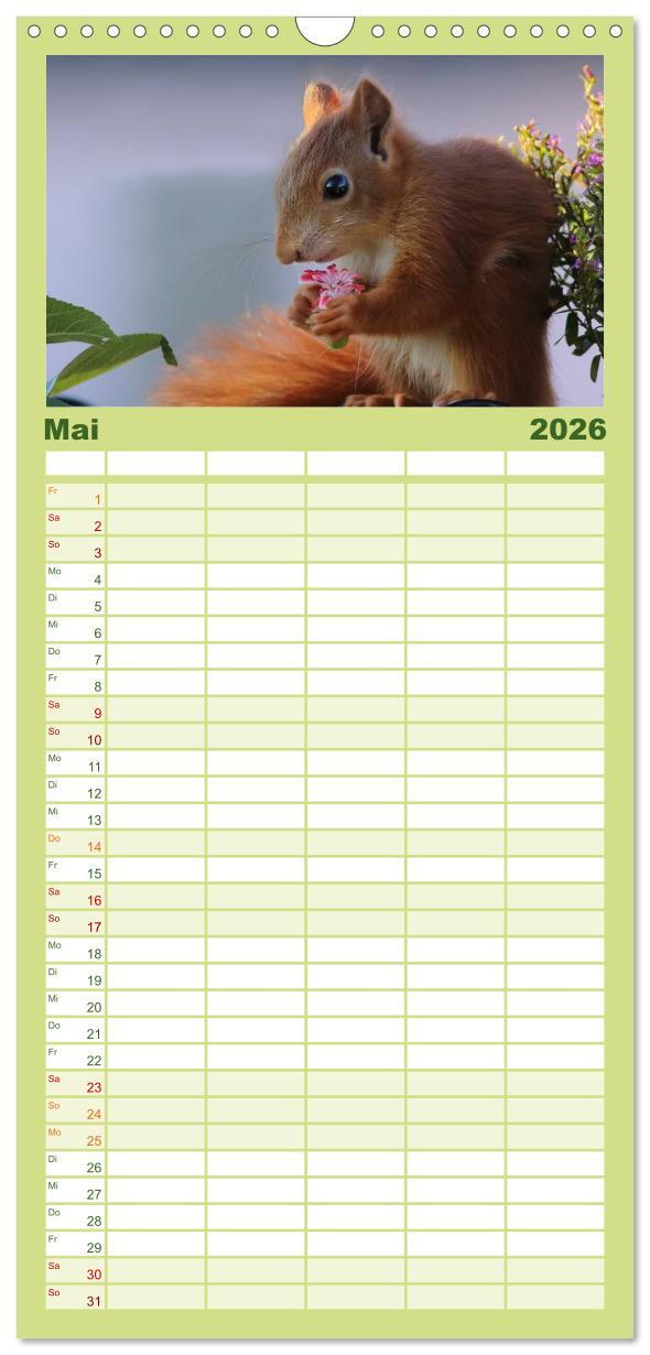 Beispielinhalt (Bild) Familienplaner 2026 - Eichhörnchen Kinder mit 5 Spalten (Wandkalender, 21 x 45 cm) CALVENDO