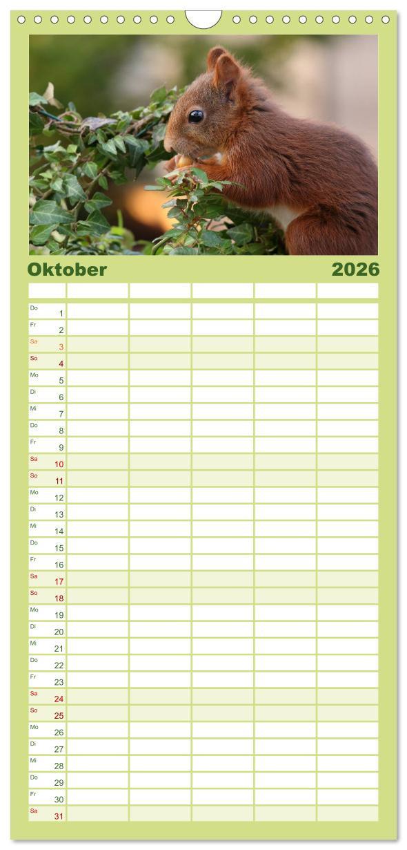 Beispielinhalt (Bild) Familienplaner 2026 - Eichhörnchen Kinder mit 5 Spalten (Wandkalender, 21 x 45 cm) CALVENDO