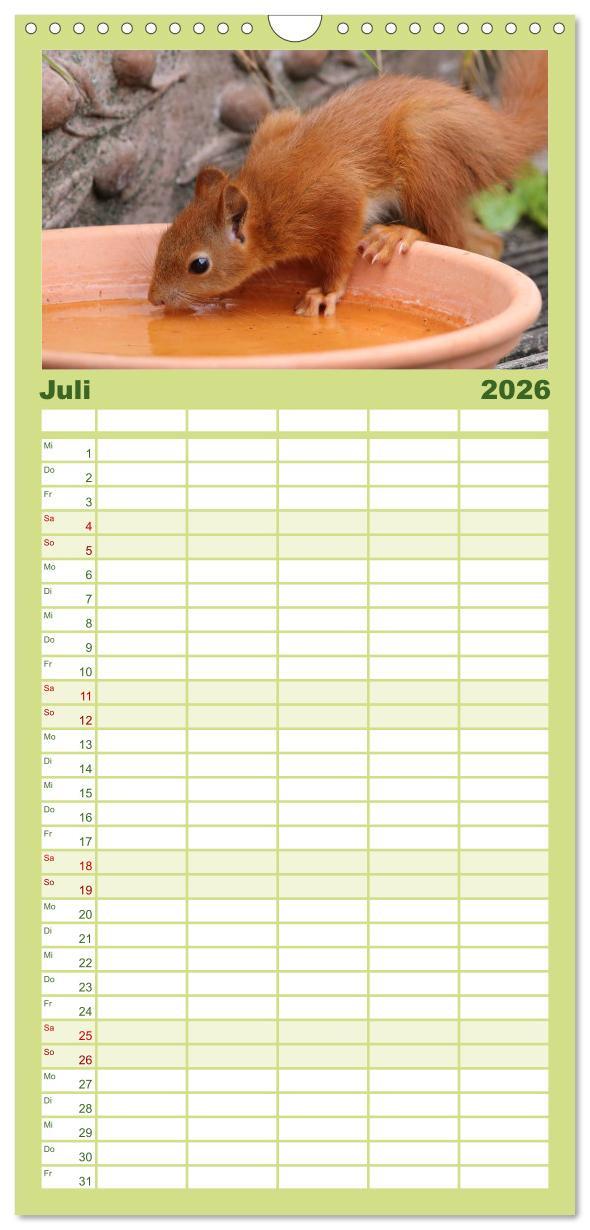 Beispielinhalt (Bild) Familienplaner 2026 - Eichhörnchen Kinder mit 5 Spalten (Wandkalender, 21 x 45 cm) CALVENDO