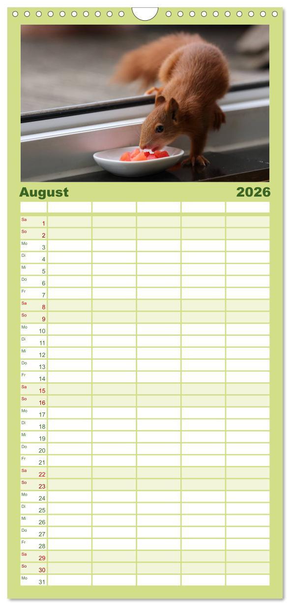 Beispielinhalt (Bild) Familienplaner 2026 - Eichhörnchen Kinder mit 5 Spalten (Wandkalender, 21 x 45 cm) CALVENDO