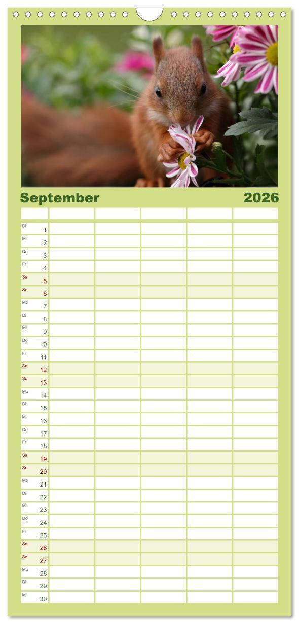 Beispielinhalt (Bild) Familienplaner 2026 - Eichhörnchen Kinder mit 5 Spalten (Wandkalender, 21 x 45 cm) CALVENDO