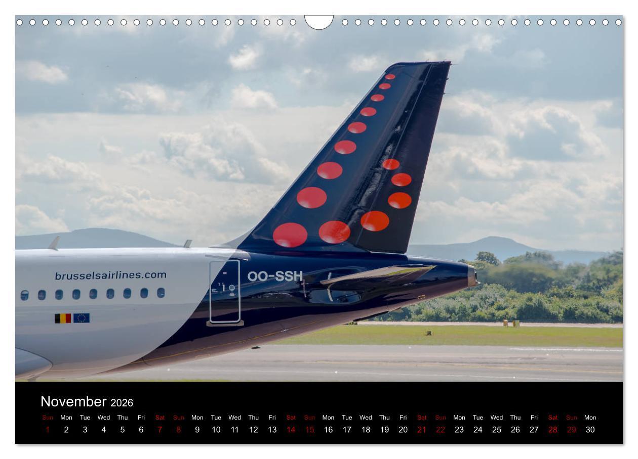 Beispielinhalt (Bild) Airline Tails (Wall Calendar 2026 DIN A3 landscape), CALVENDO 12 Month Wall Calendar