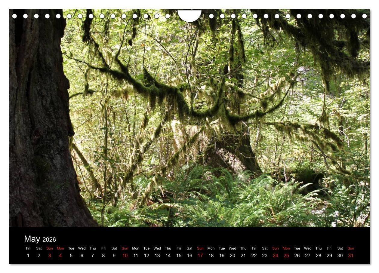 Beispielinhalt (Bild) From Pacific to the Mountains 2026 (Wall Calendar 2026 DIN A4 landscape), CALVENDO 12 Month Wall Calendar