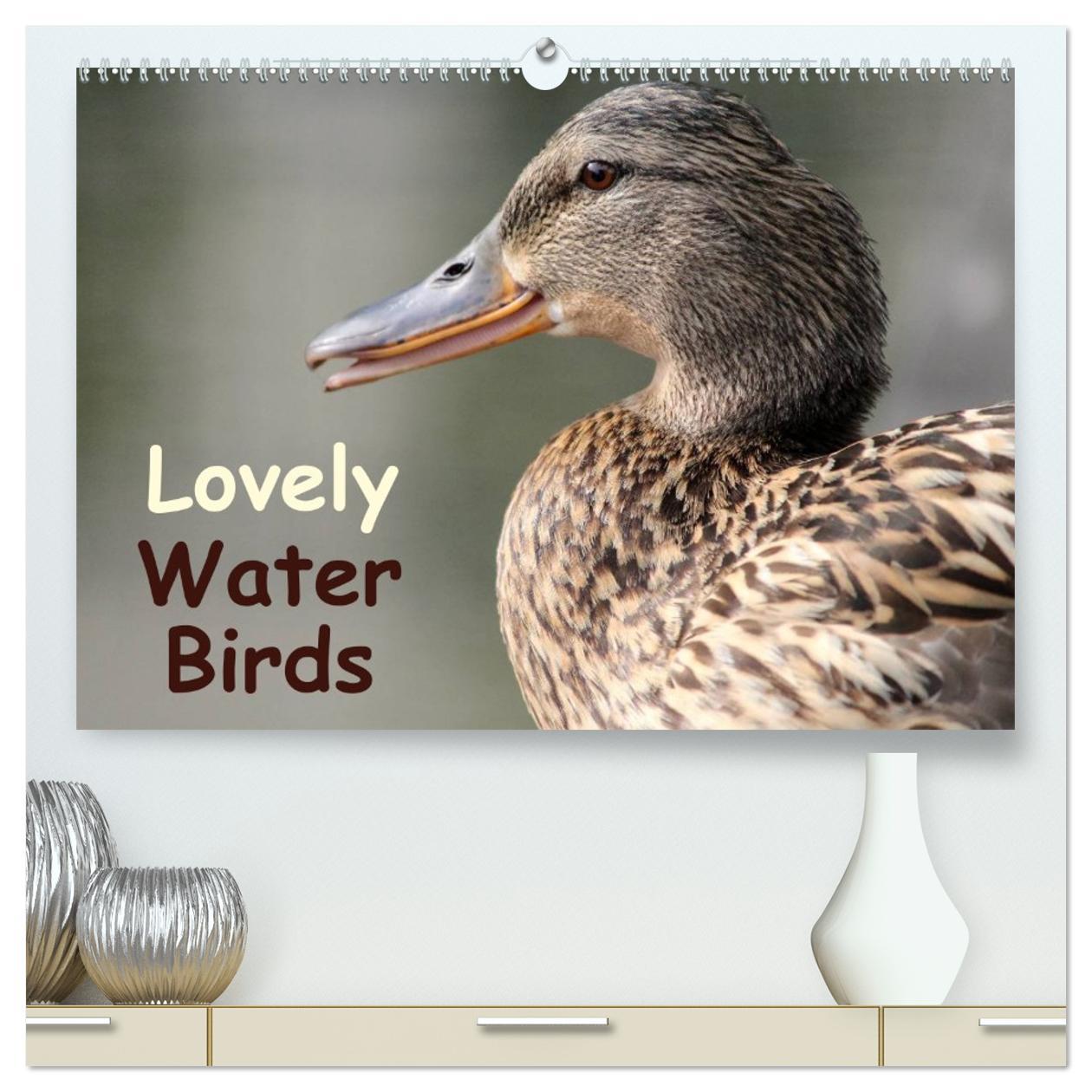 Vorderes Coverbild Lovely Water Birds (High Quality Premium Wall Calendar 2026 DIN A2 landscape),CALVENDO 12 Month Wall Calendar