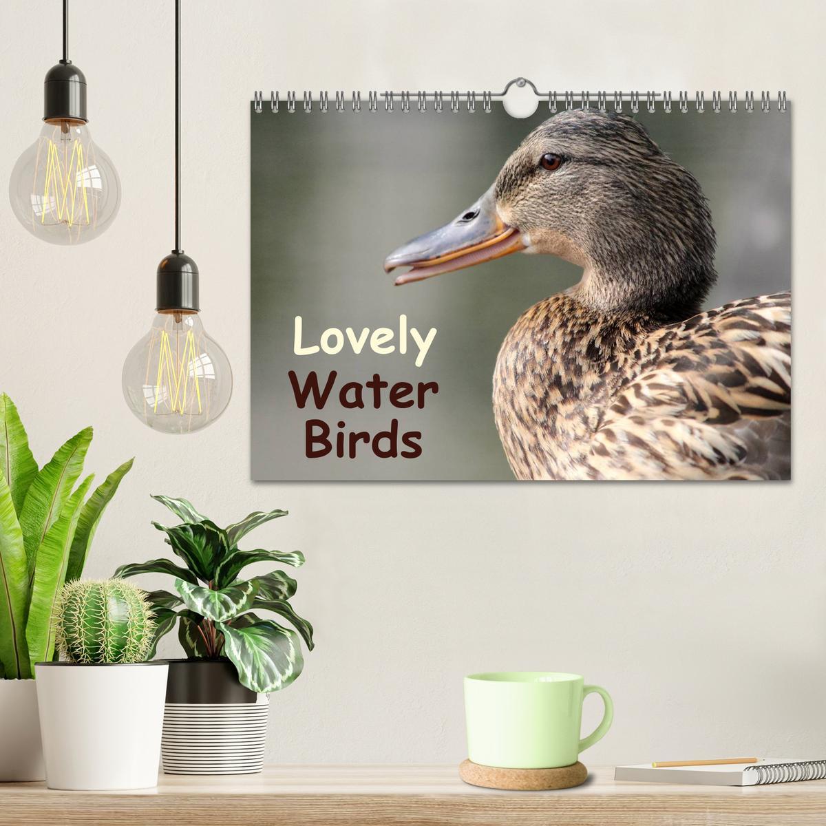 Beispielinhalt (Bild) Lovely Water Birds (Wall Calendar 2026 DIN A4 landscape), CALVENDO 12 Month Wall Calendar