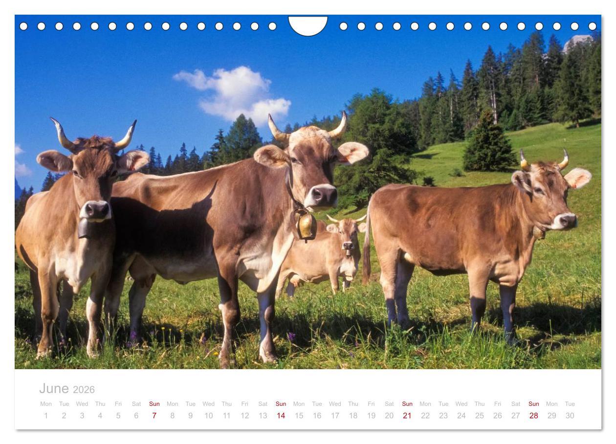 Beispielinhalt (Bild) Grisons Engadine 2026 / UK-Version (Wall Calendar 2026 DIN A4 landscape), CALVENDO 12 Month Wall Calendar