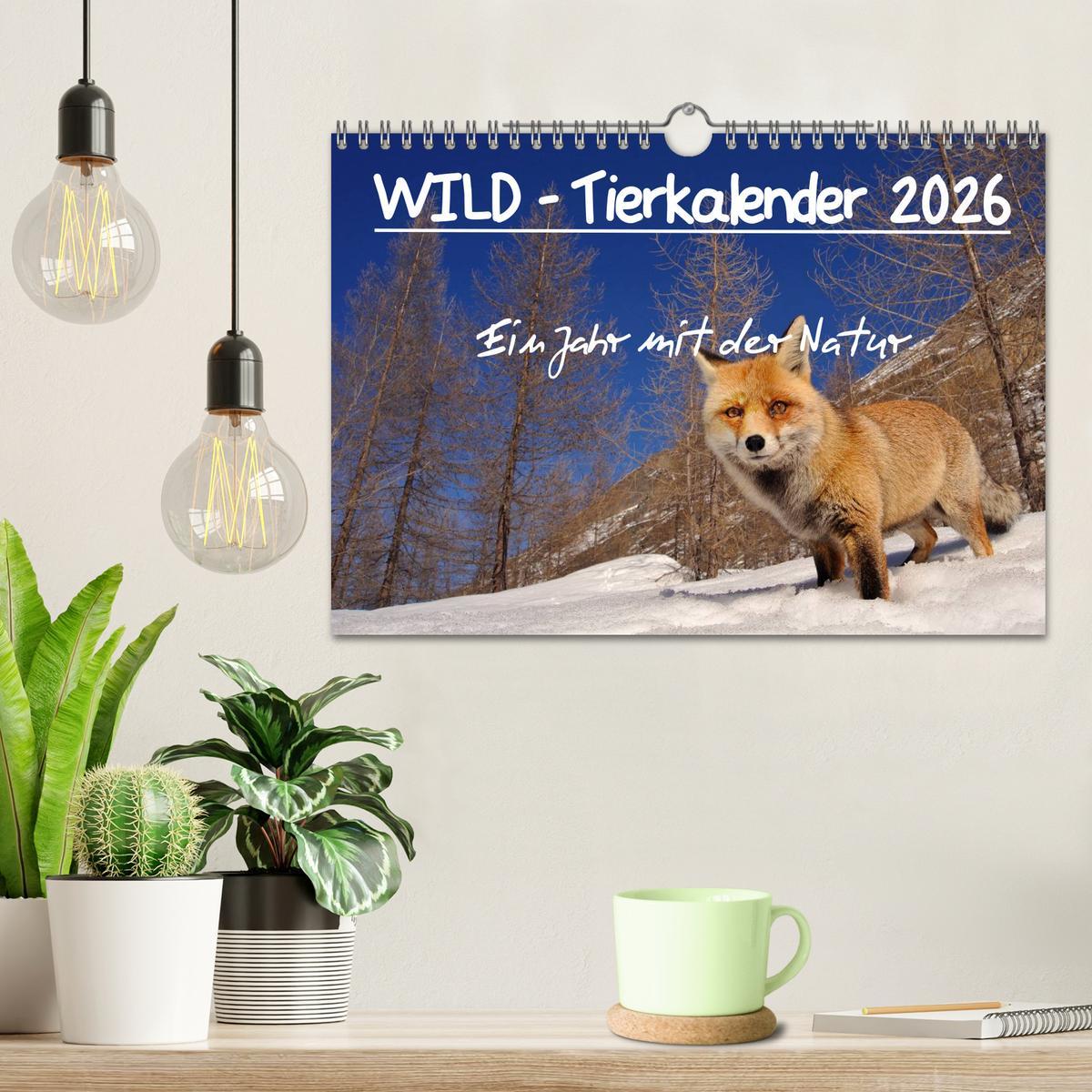 Beispielinhalt (Bild) WILD - Tierkalender 2026 (Wandkalender 2026 DIN A4 quer), CALVENDO Monatskalender