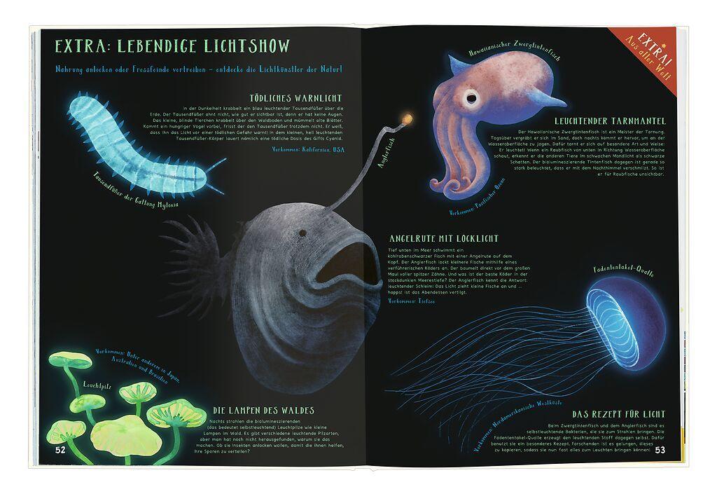 Beispielinhalt (Bild) Verrückte Rekorde