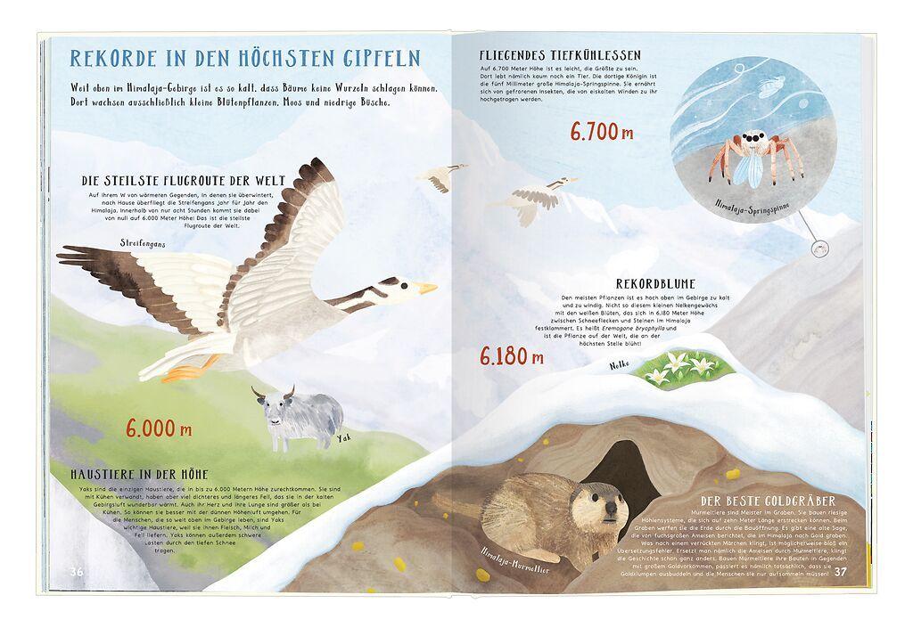 Beispielinhalt (Bild) Verrückte Rekorde