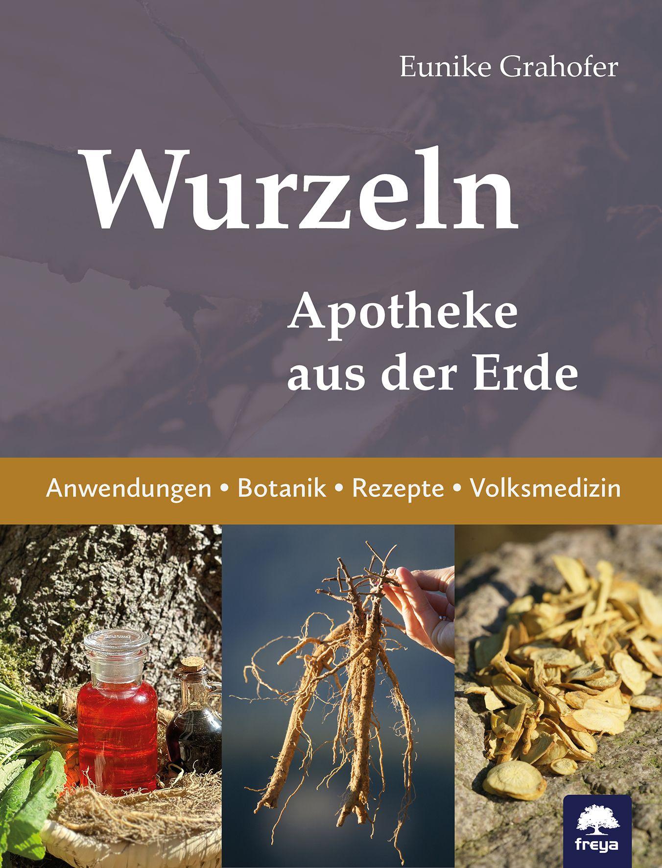 Vorderes Coverbild Wurzeln