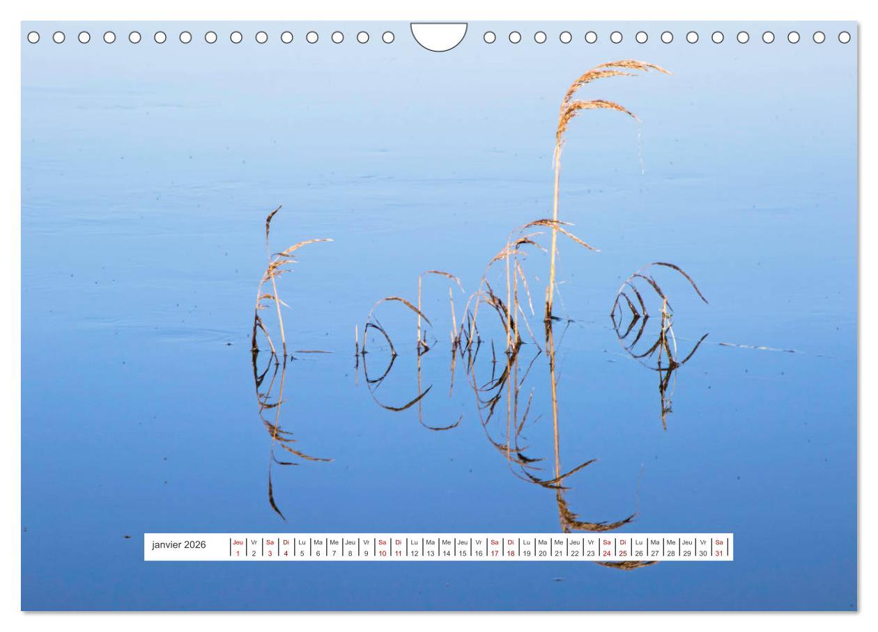 Beispielinhalt (Bild) J'adore Le Cotentin (Calendrier mural 2026 DIN A4 vertical), CALVENDO calendrier mensuel