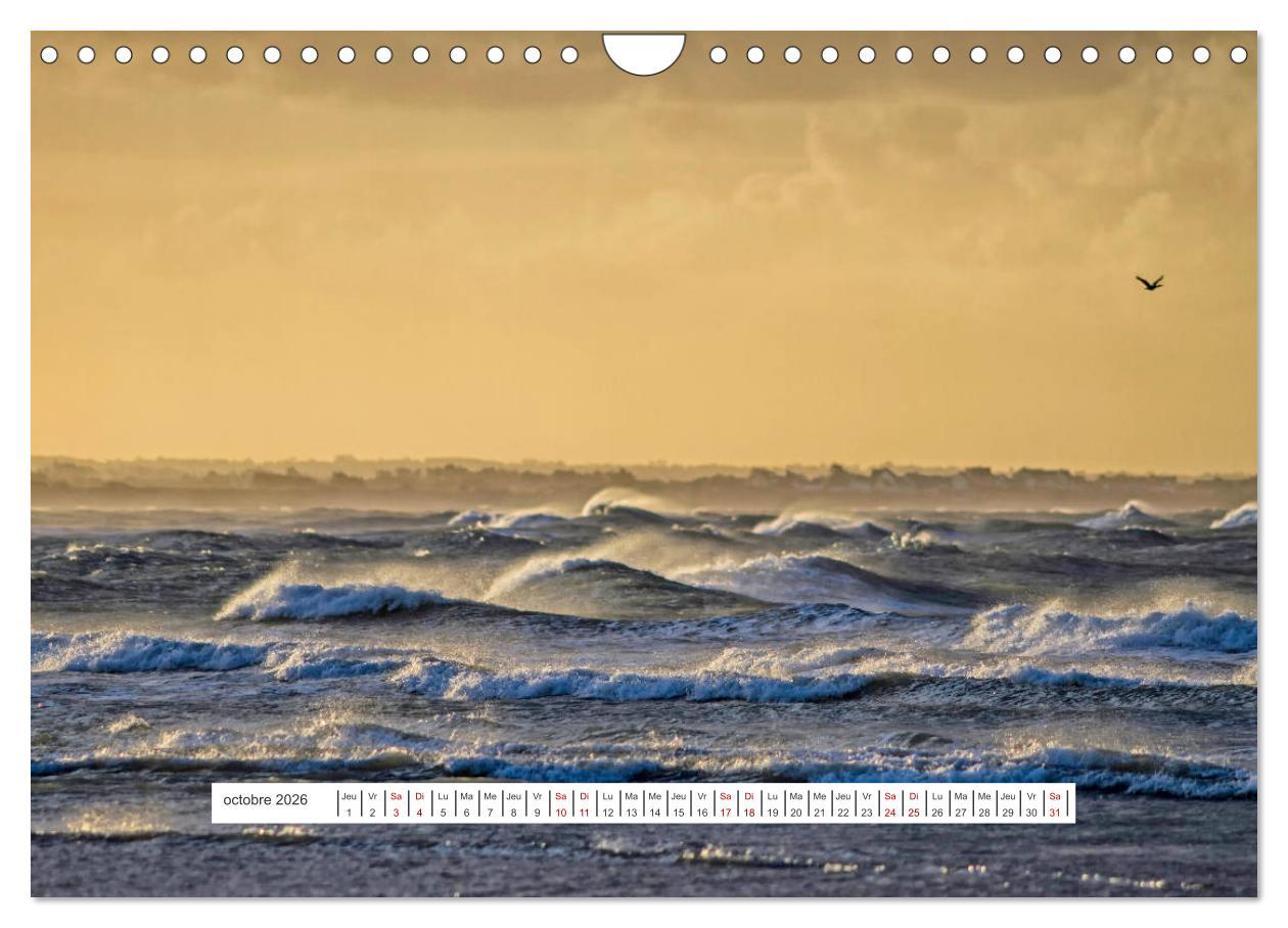 Beispielinhalt (Bild) J'adore Le Cotentin (Calendrier mural 2026 DIN A4 vertical), CALVENDO calendrier mensuel