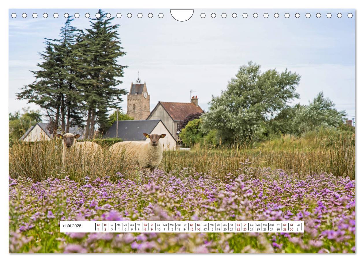 Beispielinhalt (Bild) J'adore Le Cotentin (Calendrier mural 2026 DIN A4 vertical), CALVENDO calendrier mensuel