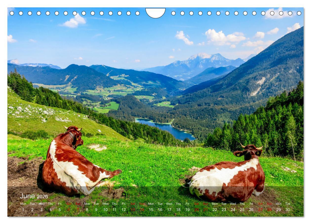 Beispielinhalt (Bild) German and Austrian Alps (Wall Calendar 2026 DIN A4 landscape), CALVENDO 12 Month Wall Calendar
