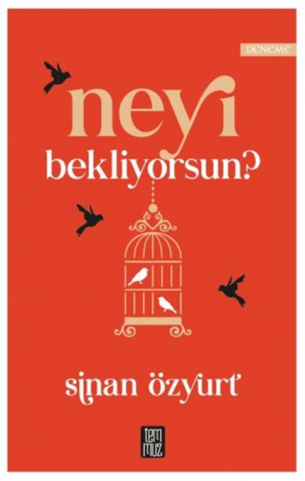 Vorderes Coverbild Neyi Bekliyorsun