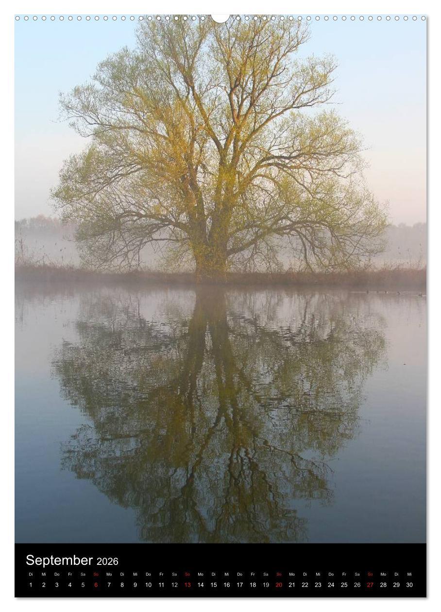 Beispielinhalt (Bild) Gespiegelte Natur (hochwertiger Premium Wandkalender 2026 DIN A2 hoch), Kunstdruck in Hochglanz