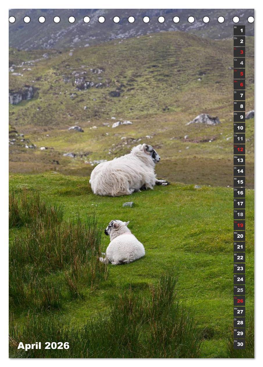 Beispielinhalt (Bild) Schottlands vielfältiger Westen (Tischkalender 2026 DIN A5 hoch), CALVENDO Monatskalender