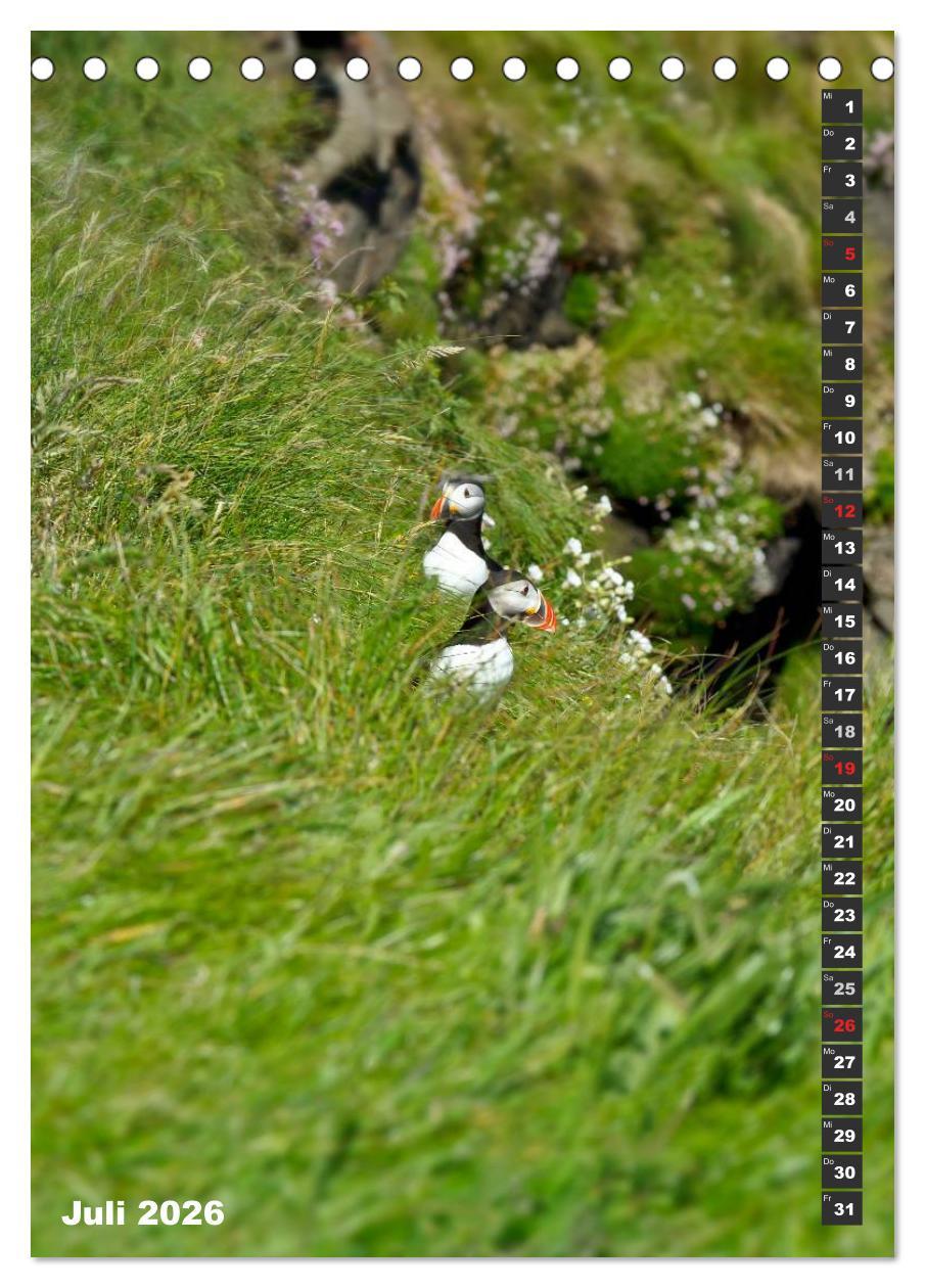 Beispielinhalt (Bild) Schottlands vielfältiger Westen (Tischkalender 2026 DIN A5 hoch), CALVENDO Monatskalender