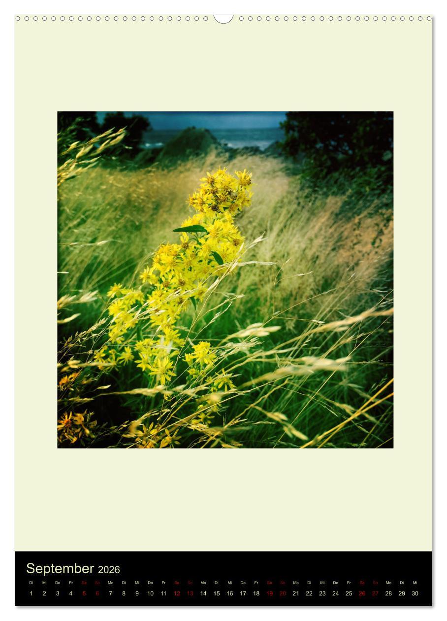 Beispielinhalt (Bild) Insel für die Seele Bornholm (hochwertiger Premium Wandkalender 2026 DIN A2 hoch), Kunstdruck in Hochglanz