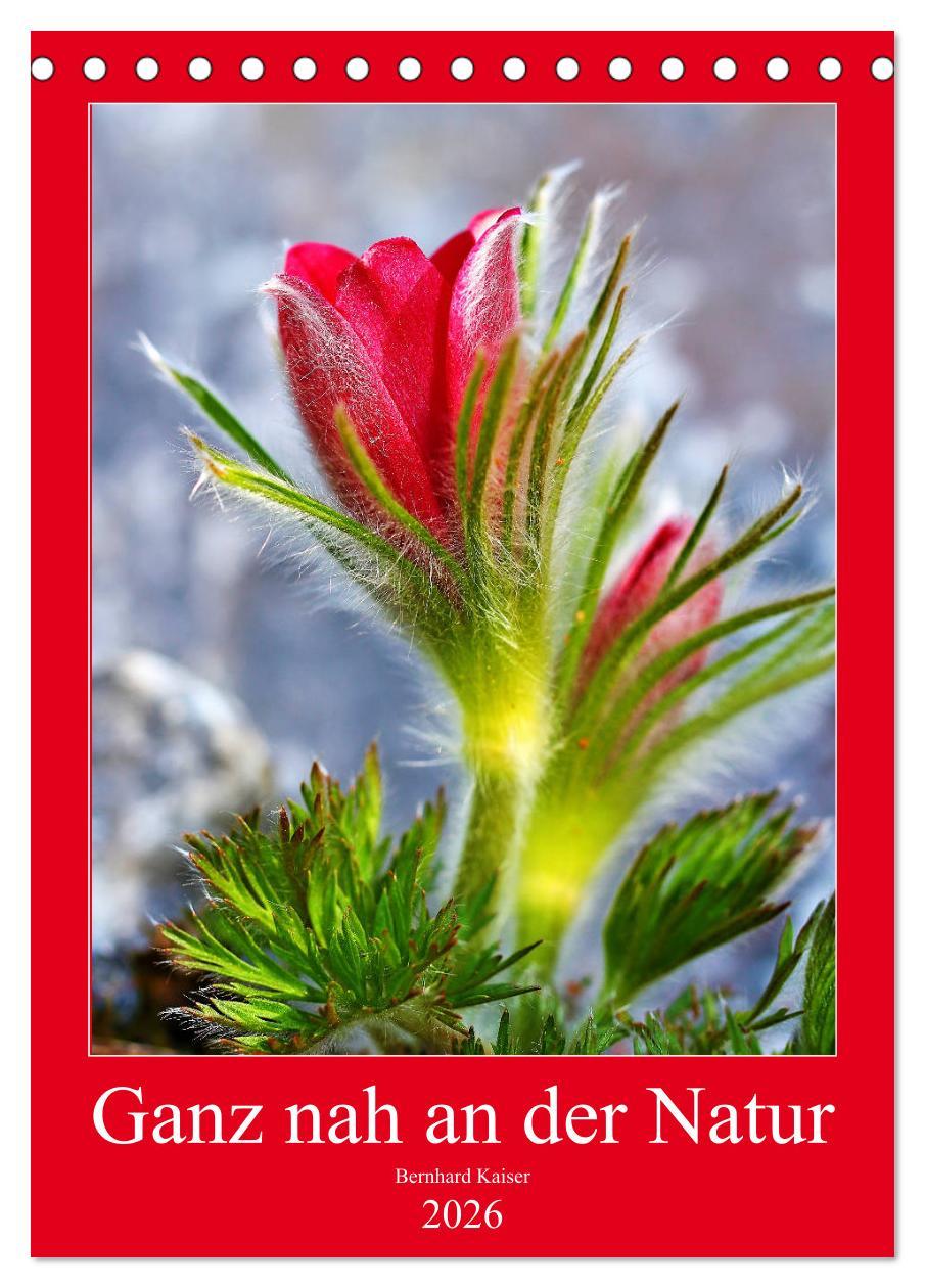 Vorderes Coverbild Ganz nah an der Natur (Tischkalender 2026 DIN A5 hoch), CALVENDO Monatskalender