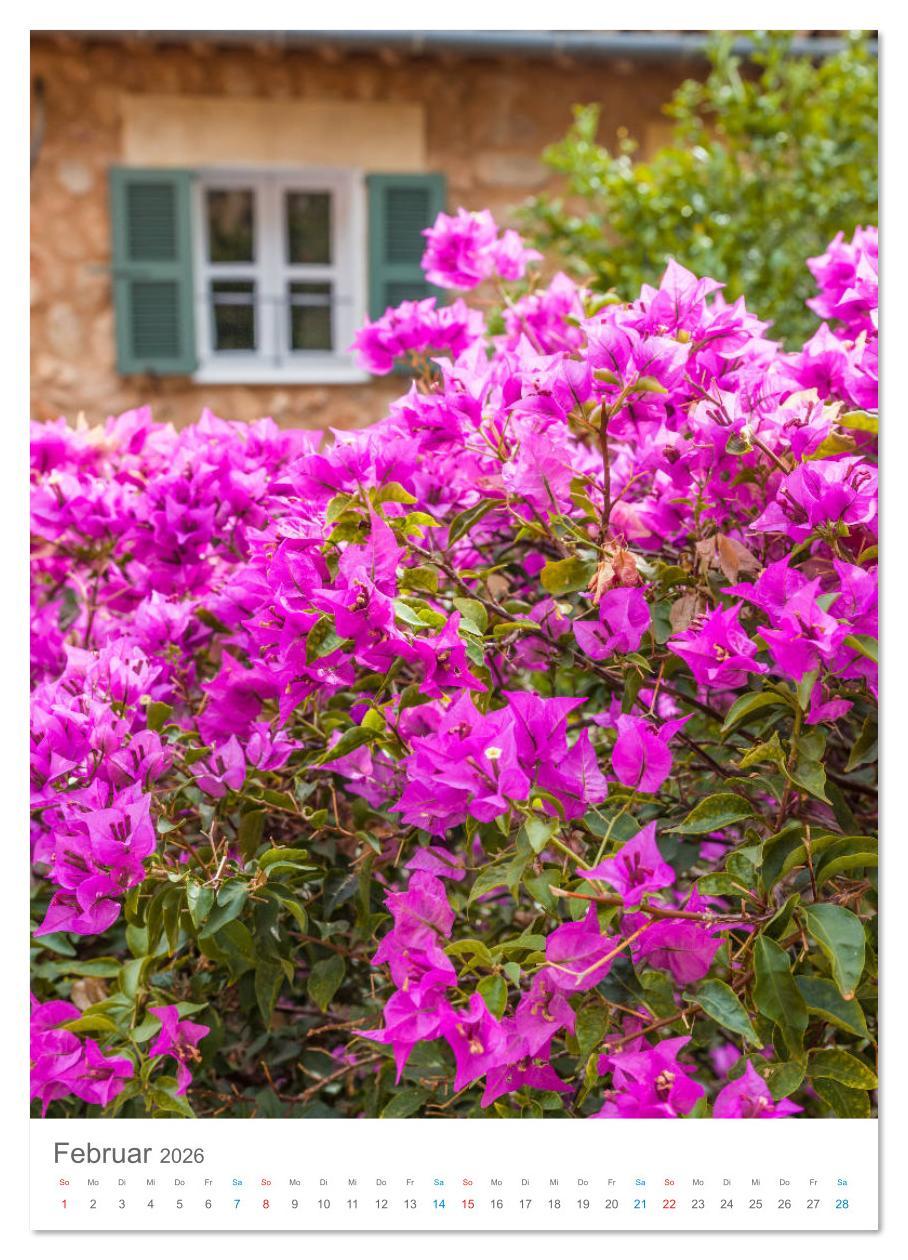 Beispielinhalt (Bild) Lass uns träumen vom Süden (Wandkalender 2026 DIN A3 hoch), CALVENDO Monatskalender
