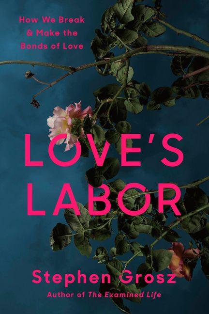 Vorderes Coverbild Love's Labor